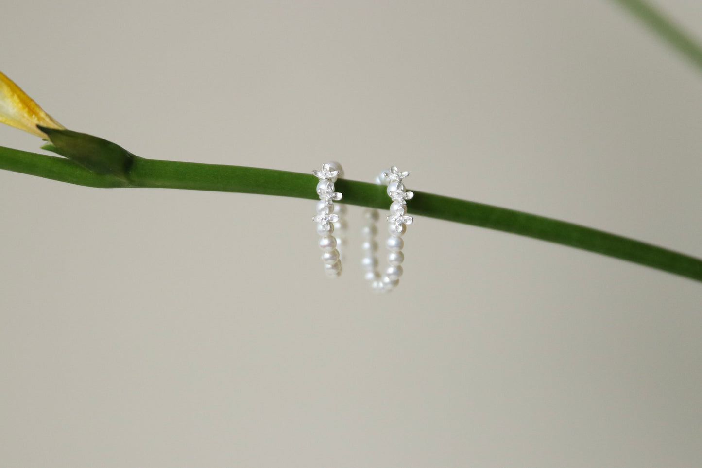 Flora Perlenring, Florialis